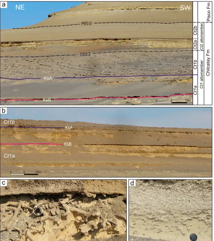 Figure 2. Representative outcrop views of the stratal architecture and some of the identified facies associations