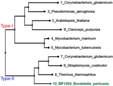 Figure 2.  Phylogenetic analyses of LOG-like proteins and B. pertussis BP1253. The phylogenetic tree was 