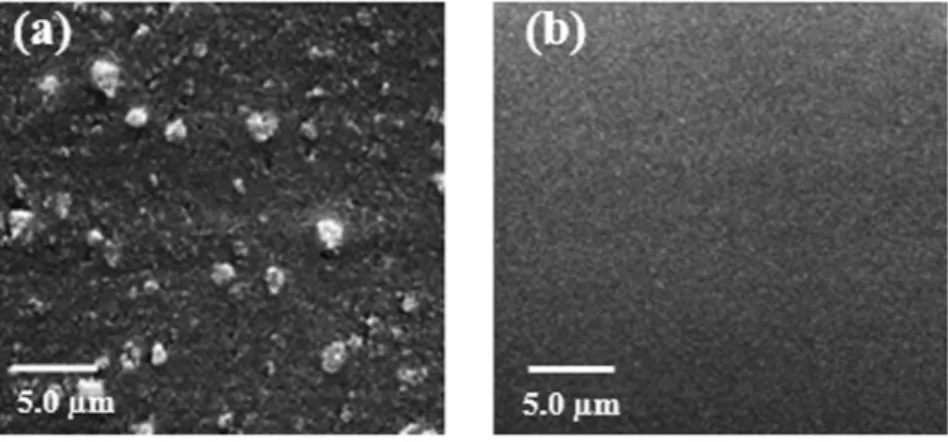 Figure 1.  SEM micrographs of as-prepared [PP@TiO 2 ] strips. (a) [PP@TiO 2 ] P25  strips before and (b) after 