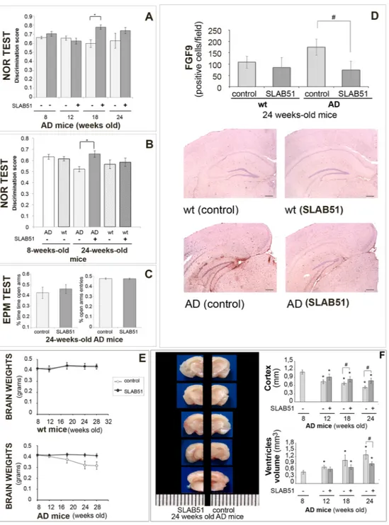 Figure 1.  SLAB51 ameliorates behavioral performance and reduces brain damage in AD mice