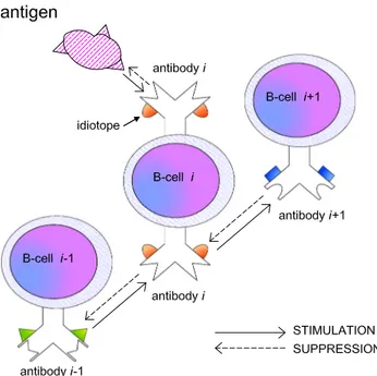 Fig. 1 Jerne’s idiotypic network; 2-body interactions