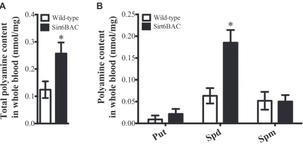 Figure 7: Sirt6BAC mice exhibit enhanced spermidine level in blood. (A) Total polyamine content and (B) polyamine pro ﬁle of putrescine (Put), spermidine (Spd), and spermine (Spm) in whole blood of 2-month-old wild-type (n ¼ 12) and Sirt6BAC (n ¼ 7) mice f