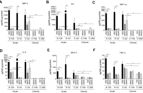Figure 3.  Cytokines/chemokines profiles in murine models after P. aeruginosa infection
