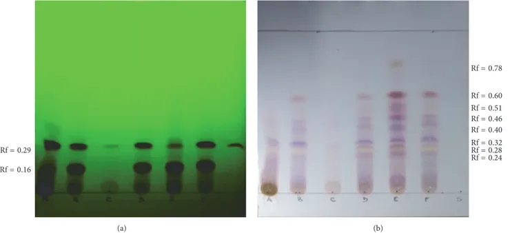 Figure 1: UV detection at 254 nm (a) for UV-active boswellic acids. Chromatograms after dyeing with anisaldehyde (b)