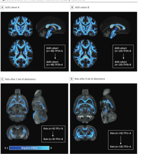 Figure 3. Evolution of White Matter Alterations Into Early Abstinence