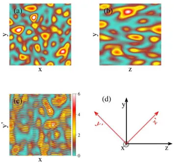FIG. 1: (color online) (a) Intensity profile of a speckle pattern measured on a plane orthogonal to the beam propagation axis z
