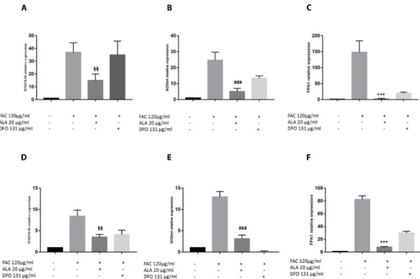 Figure 6. Effect of ALA on oxidative stress parameters of zebrafish liver and intestine