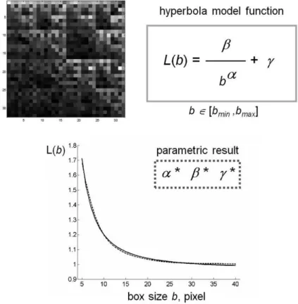 Figure  3  shows  a  schematic  representation  of  the  method applied to a CGR matrix generated by rCRS