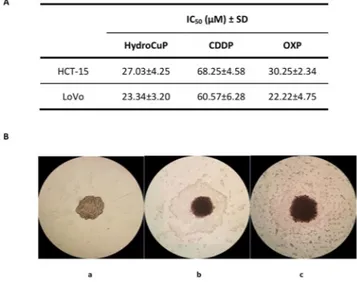 Figure 1.  Activity in 3D cell cultures. (A) Spheroids (2.5 × 10 3  cells/well) were treated for 72 h with increasing 