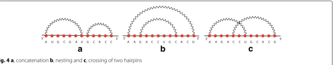 Fig. 4 a, concatenation b, nesting and c, crossing of two hairpins