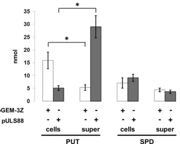 Fig 6. MdtJI facilitates putrescine secretion in Shigella. Analysis of the polyamine levels in S