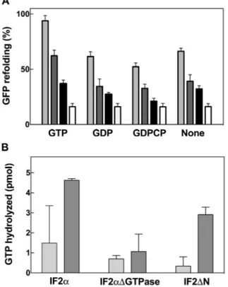 Figure 7. Effect of guanine nucleotides on the chaperone activity of IF2.