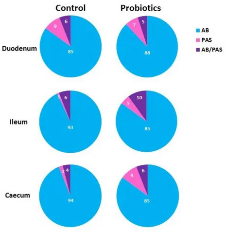 Figure 1. Percentage of the intestinal goblet cells of C and P guinea fowls stained with Alcian Blue 