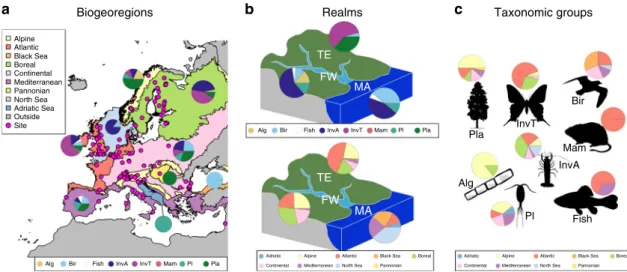 Fig. 1 Distribution of the time series across biogeoregions, realms and taxonomic groups