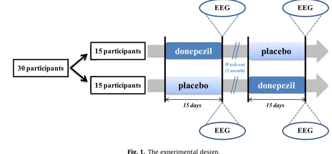 Fig. 1. The experimental design.