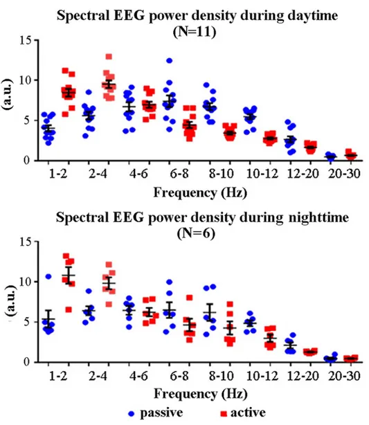 Fig 2 illustrates individual normalized spectral EEG power density values at frequency bands of interest (1–2 Hz, 2–4 Hz, 4–6 Hz, 6–8 Hz, 8–10 Hz, 10–12 Hz, 12–20 Hz, and 20–30 Hz) from premotor cortex and for all lemurs, states (active, passive), and time