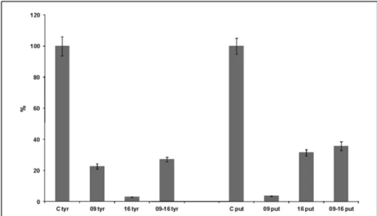 FIGURE 2 | Degradation (in percentage) of putrescine and tyramine by Lactobacillus plantarum strains NDT 09 and NDT 16 in presence of producer strains Lactobacillus brevis IOEB 9809 (putrescine) and Enterococcus faecium OT23 (tyramine), respectively in MRS