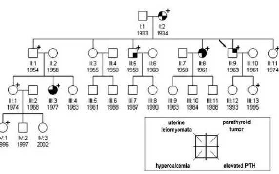Figure 1a. Family pedigree of Family I. Clinical status is indicated by open symbols (unaffected or  unknown) and filled symbols (affected)