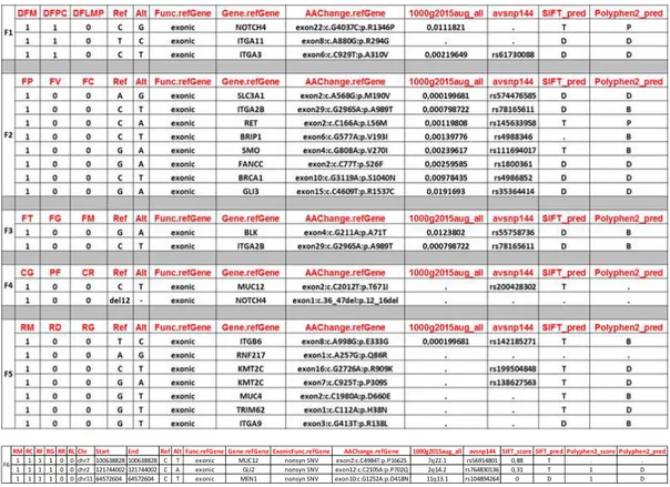 Table 5. WES data for all the families under study. 