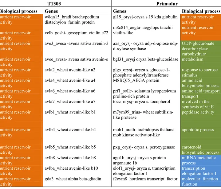 Table 4.3 Functional annotation of genes up-regulated in response to heat stress 