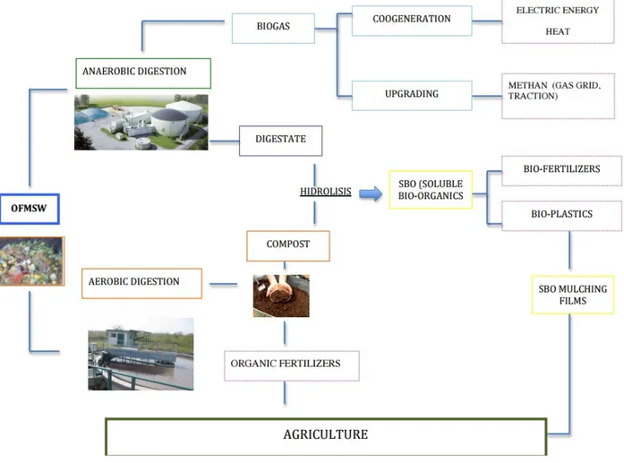 Figure 3.1 SBO mulching films: an opportunity for OFMSW management and a way to  improve agricultural sustainability 