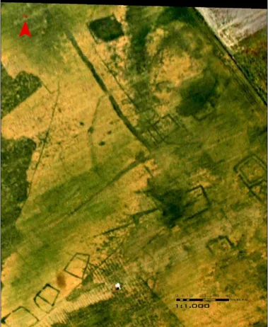 Fig.  18  - Foto aerea  del  sito  in  cui  sono  chiaramente  leggibili  nella  vegetazione i “recinti” quadrangolari 