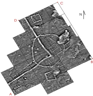 Fig.  19  -  Lettura  di  tracce  da  prospezione  geomagnetica  sul  sito  di  Pantano 
