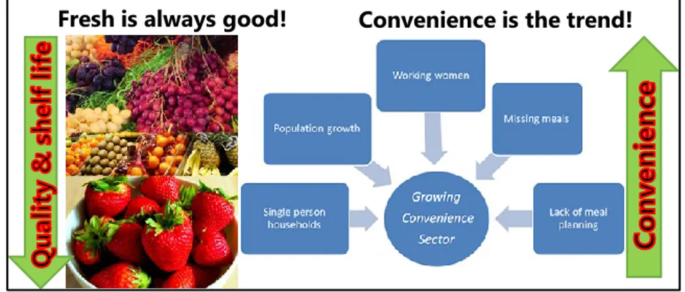 Figure 1 Quality vs conveniences: (Adapted from Freedman (2011)) 