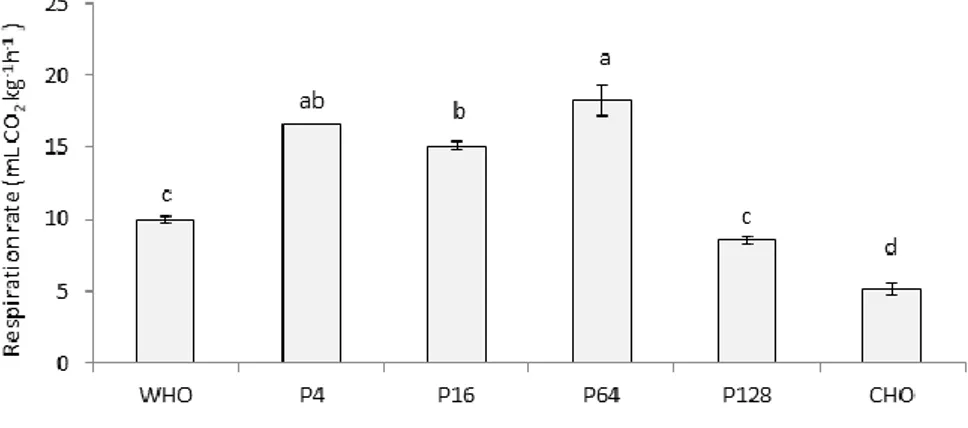 Figure 1.2 Effect of cutting stress on respiration rate at 5 °C of ‘Candonga’ 