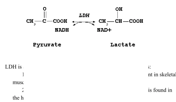 Figure 5. Reaction catalysed by lactate dehydrogenase 