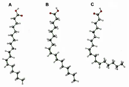 Figure 1. Chemical structure of conjugated linoleic acid isomers and linoleic acid. 