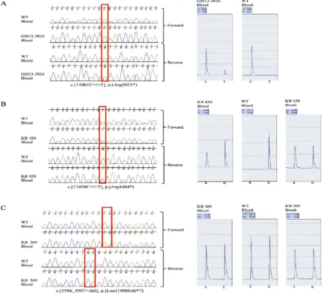 Figure 13. Sanger sequencing data and pyrosequencing results