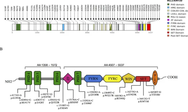 Figure 14. Missense variants distribution across the entire length or fusion KMT2D gene