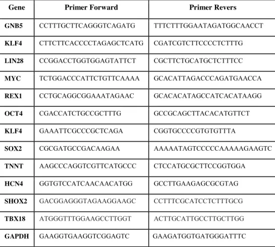 Table 2. Oligos used for qPCR analysis 