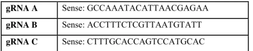 Table 3. Gβ5 CRISPR/Cas9 KO Plasmid (h) gRNA plasmids    gRNA A   Sense: GCCAAATACATTAACGAGAA  