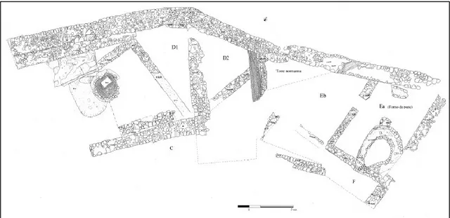 Figura 13. Area di scavo della Motta di Vaccarizza (Noyé et alii 2011).