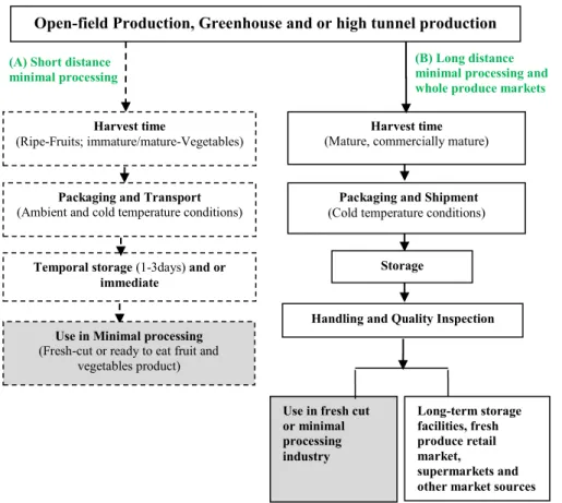 Figure 1.1: Harvest and Postharvest handling stages of raw material for minimal processing 