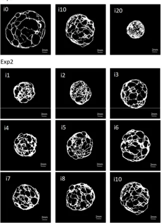 Figure 3.1. Representative cross-sectional X-ray tomography images of extrudates from Exp.1 and Exp