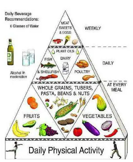 Fig. 1. The Mediterranean Diet food pyramid.  