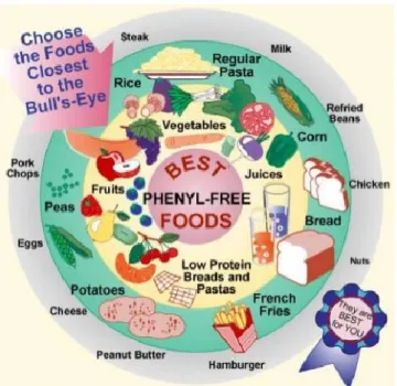 Figure 2. Low Phe diet: foods that are allowed are in the inner part of the diagram. 