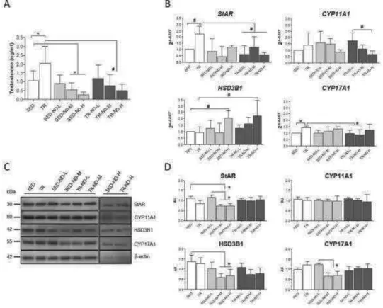 Fig 15  Effect of ND on testosterone secretion and steroidogenic gene/protein expression