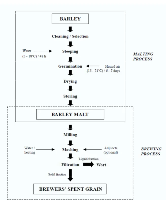 Fig 1.1. Schematic representation of the process to obtain BSG from natural barley. 
