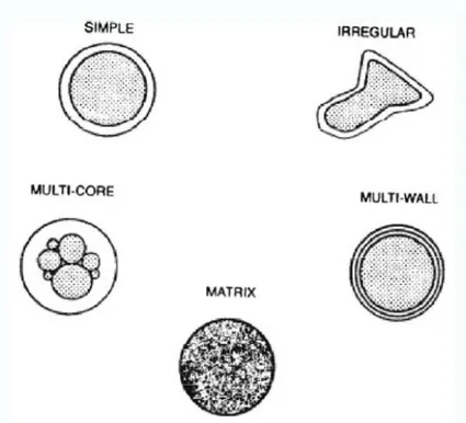 Fig. 3.1 Morphology of different types of microcapsules. 
