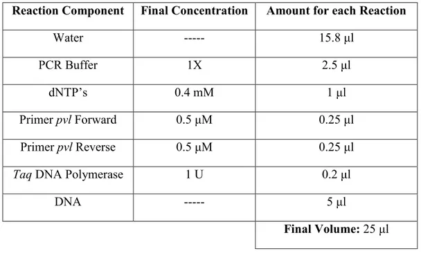 Table 7. Single PCR: detection of pvl gene. 