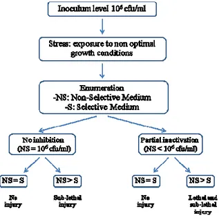 Figure  3.1.  provides  an  overview  of  the  performed  experimental  setup  and  outlines 