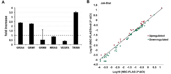 Figure  9.  TRIM8-related  transcriptomic  profile  in  neural  stem  cells.  (A)  Volcano  plot  of  722  differentially 