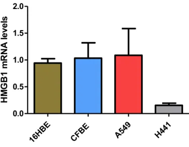 Figure  9.  HMGB1  mRNA  levels  in  various  epithelial  cell  lines  originated  form  human  lung