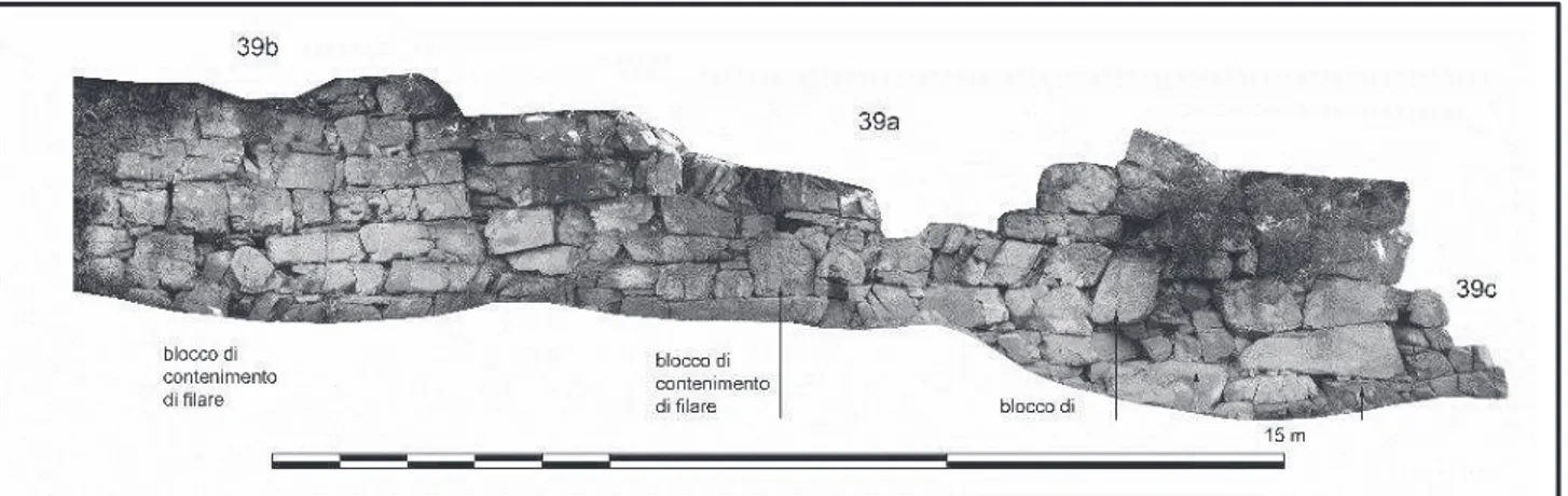 Fig. 16. Monte Pitti: materiali etrusco-ellenistici e romani tardo repubblicano e  frammenti di vernice nera