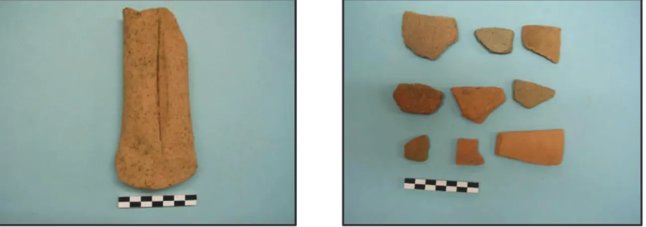 Fig. 19. Poggio Montioni Vecchio: ansa Dressel 2/4 e frammenti ceramici etrusco- etrusco-romani