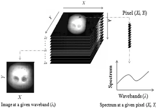 Figure 1.9 – Hypercube showing the relationship between spectral and spatial dimensions - Chen et al., 2013